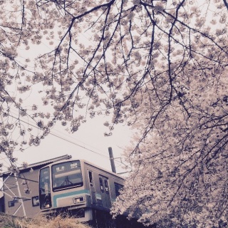 �����ӂ�����