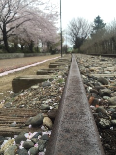 �x���̂������Ƃ���