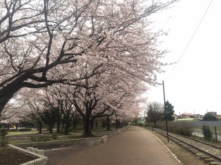 �f�G�ȂƂ����