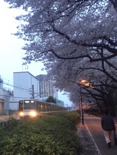 ���g���l���Ƒ���