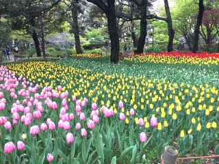 �`���[���b�v���������I