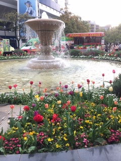 �����̎�������킢��