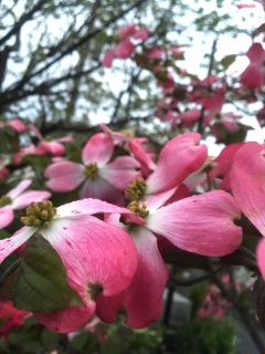 �n�i�~�Y�L�`