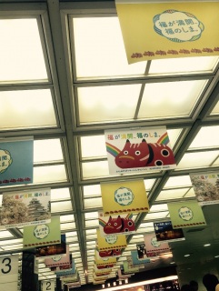 �ӂ�����DC o(^��^)o