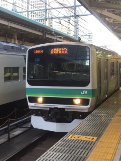 231�ɍs�������