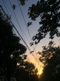 �[�Ă������ꂢ��������