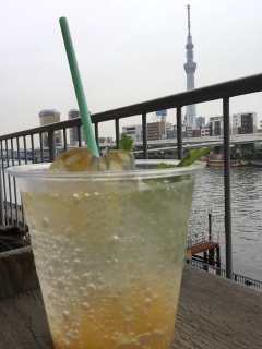 �X�J�C�c���[���悭�݂���