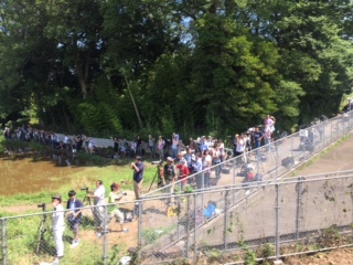 �q�K�n�X�_(^o^)�^