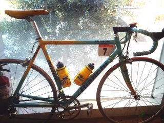 (((o(*߁��*)o)))���܂��