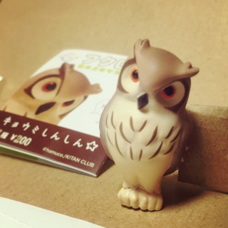 �L���b�g�`�`�`�R(�G���G)�m���킢��