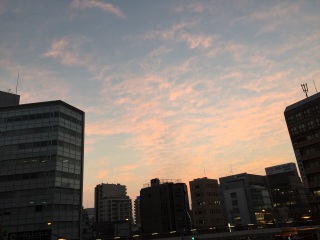 ����̗[�Ă�