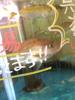 ���݉�����̓������������