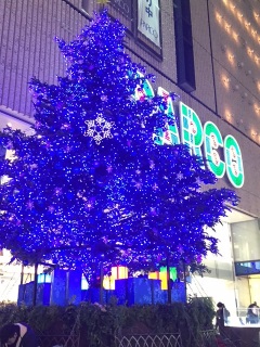 �����N���p���R