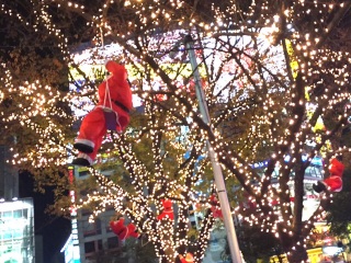 �T���^����A�O���b�V�u