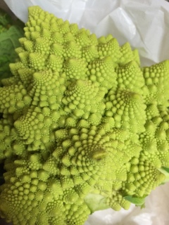 �����̗͂�������