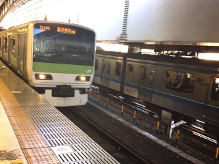 �R��Ƃ�񂩁[�[�[�[�[�[�[��