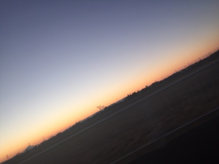 �֓�����