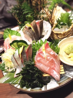 �������ȁ`�`�`�`o(^��^)o