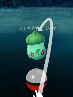 �|�P����GO