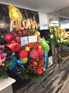 �n���C�ۂ�