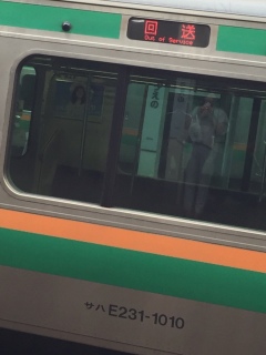 �񑗂�����������