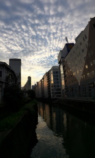 ���ꂢ�ȏH�̋�