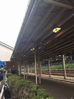 ���z�[��