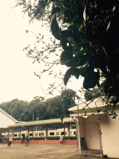 �������ꂽ�Ƃ��납��