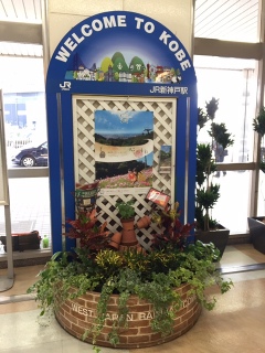 ������̃Z���X