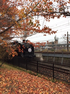 �g�t�ƃX�`�[��������