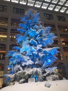 KITTE�̃c���[