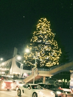 �ł������c���[