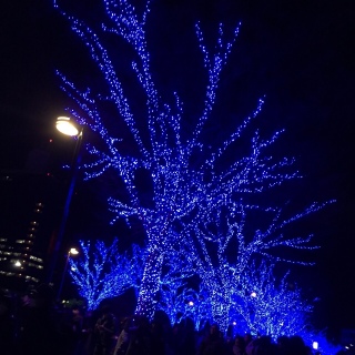 �����ꂢ