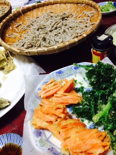 �N�z������