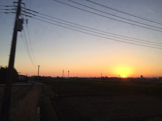 �֓�����