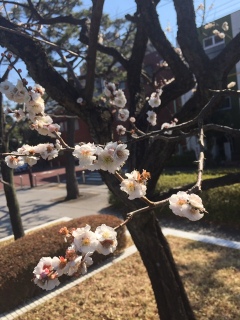 �~�����ꂢ��